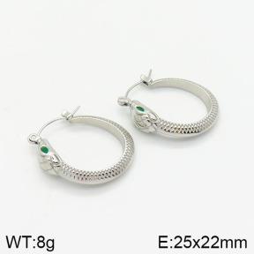 Stainless Steel Earrings  2E4002074vhnv-669