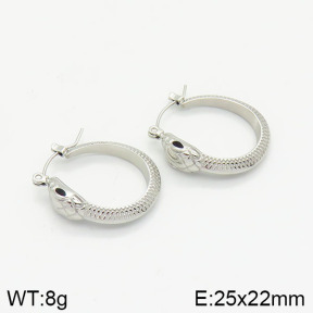 Stainless Steel Earrings  2E4002077vhnv-669