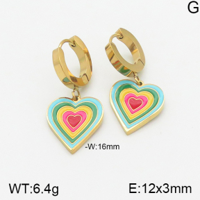 Stainless Steel Earrings  5E3000792bbov-669