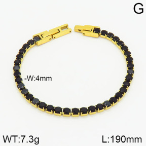 Stainless Steel Bracelet  2B4002251bhva-438