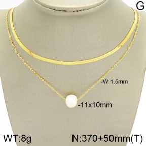 Stainless Steel Necklace  2N3001049ahjb-666