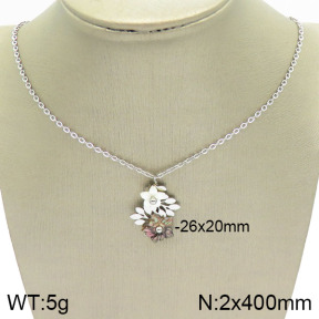 Stainless Steel Necklace  2N3001050ahjb-666