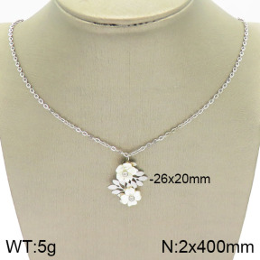 Stainless Steel Necklace  2N3001051ahjb-666