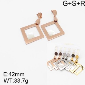 Stainless Steel Earrings  5E3000813aiov-658