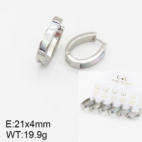 Stainless Steel Earrings  5E3000814aiov-658