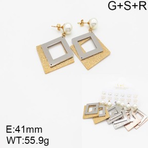 Stainless Steel Earrings  5E3000815aija-658