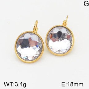 Stainless Steel Earrings  5E4001934aakl-704