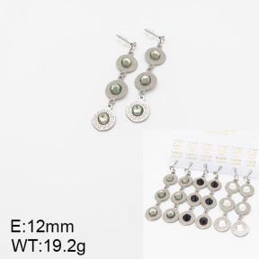 Stainless Steel Earrings  5E4001948biib-658