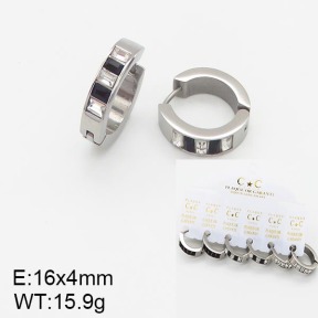 Stainless Steel Earrings  5E4001953ahlv-658
