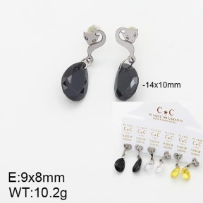 Stainless Steel Earrings  5E4001956vhov-658