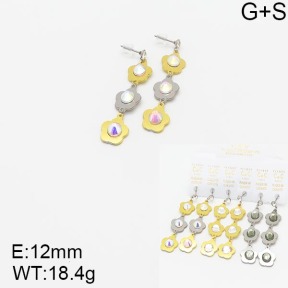 Stainless Steel Earrings  5E4001958vila-658