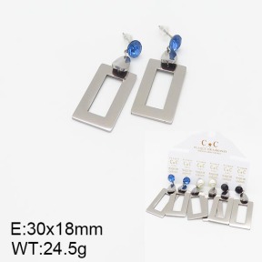 Stainless Steel Earrings  5E4001963vhov-658