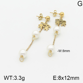 Stainless Steel Earrings  5E3000816aaji-731