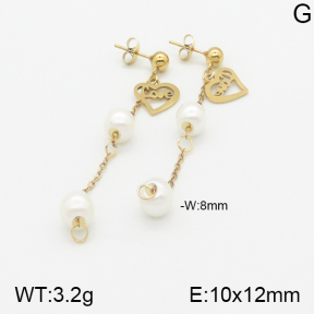 Stainless Steel Earrings  5E3000826aaji-731