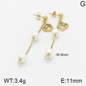 Stainless Steel Earrings  5E3000829aaji-731