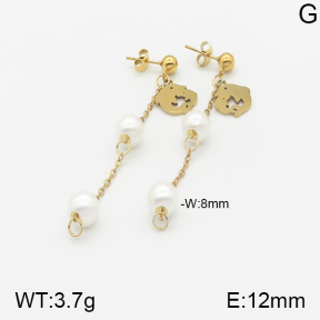 Stainless Steel Earrings  5E3000833aaji-731