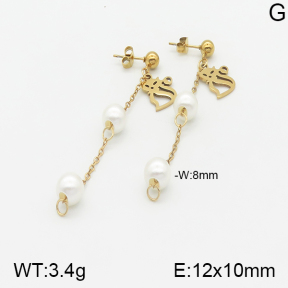 Stainless Steel Earrings  5E3000835aaji-731