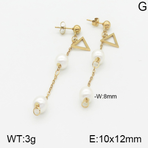 Stainless Steel Earrings  5E3000837aaji-731