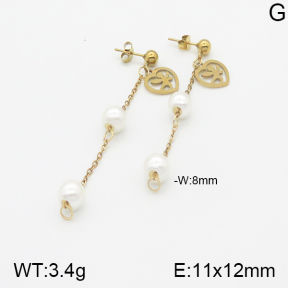 Stainless Steel Earrings  5E3000843aaji-731