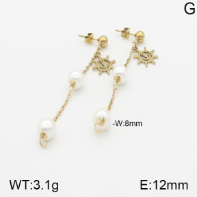 Stainless Steel Earrings  5E3000844aaji-731