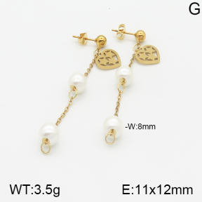 Stainless Steel Earrings  5E3000846aaji-731