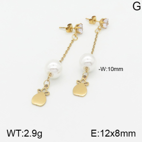 Stainless Steel Earrings  5E3000854aaji-731