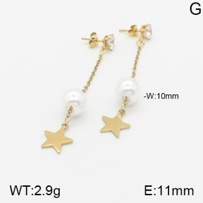 Stainless Steel Earrings  5E3000862aaji-731