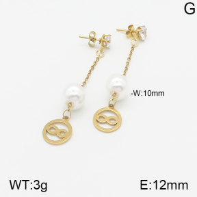 Stainless Steel Earrings  5E3000864aaji-731