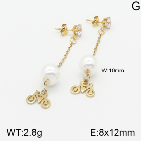 Stainless Steel Earrings  5E3000866aaji-731