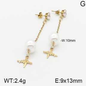 Stainless Steel Earrings  5E3000868aaji-731