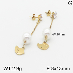 Stainless Steel Earrings  5E3000869aaji-731