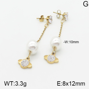 Stainless Steel Earrings  5E3000870baka-731