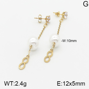 Stainless Steel Earrings  5E3000872aaji-731