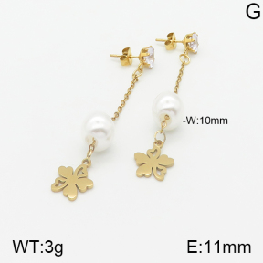 Stainless Steel Earrings  5E3000873aaji-731