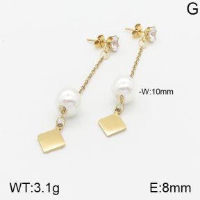 Stainless Steel Earrings  5E3000874aaji-731