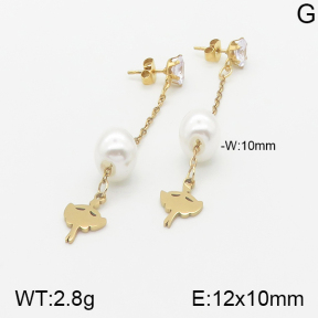 Stainless Steel Earrings  5E3000875aaji-731