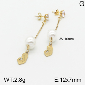 Stainless Steel Earrings  5E3000876aaji-731