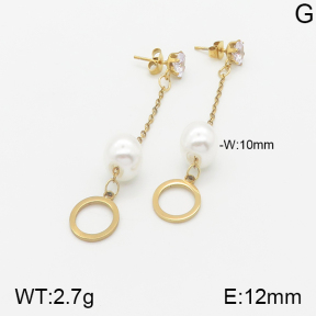 Stainless Steel Earrings  5E3000878aaji-731