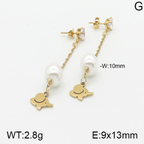 Stainless Steel Earrings  5E3000879aaji-731