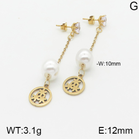 Stainless Steel Earrings  5E3000881aaji-731