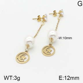 Stainless Steel Earrings  5E3000883aaji-731