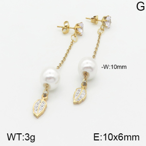 Stainless Steel Earrings  5E3000887baka-731