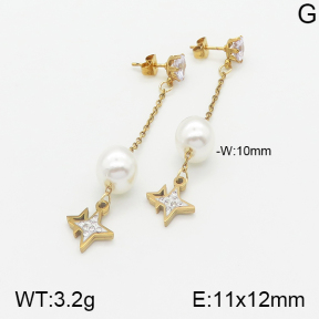 Stainless Steel Earrings  5E3000893baka-731