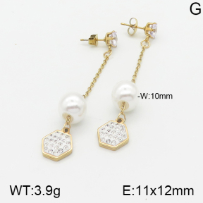 Stainless Steel Earrings  5E3000894baka-731