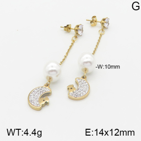 Stainless Steel Earrings  5E3000896baka-731