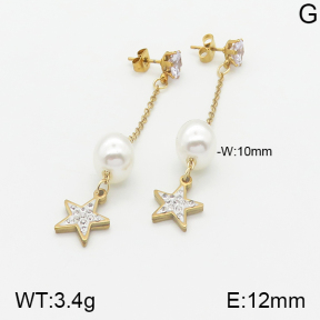 Stainless Steel Earrings  5E3000897baka-731