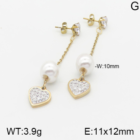 Stainless Steel Earrings  5E3000898baka-731