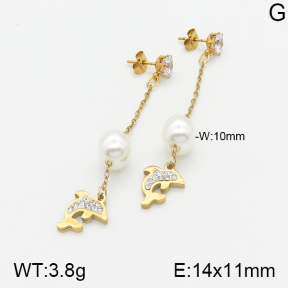 Stainless Steel Earrings  5E3000899baka-731