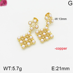 Fashion Copper Earrings  F5E300362bhil-J147