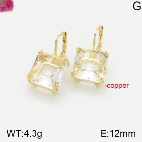 Fashion Copper Earrings  F5E401407abol-J147